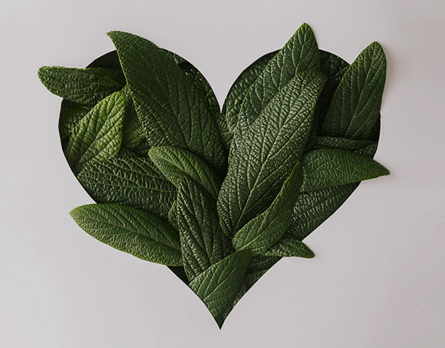 Une affaire de coeur